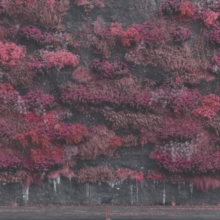 EVEN IN ARCADIA (2LP)